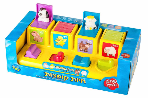 פופ אפ חיות